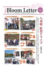 BloomLetter53