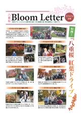 BloomLetter65