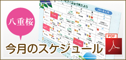 デイサービス八重桜　今月のスケジュール